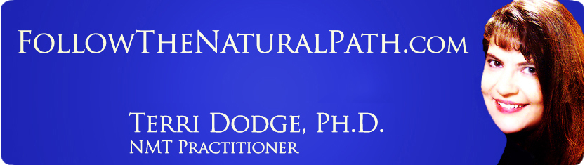 NMT Practitioner, Terri Dodge Ph.D. NeuroModulation Technique, Phone Sessions